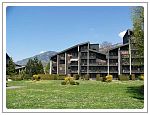 090525vinini_1.jpg