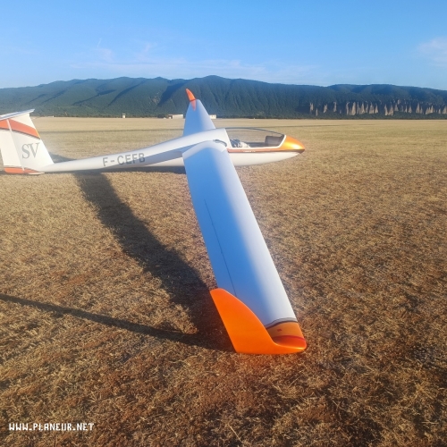 Cirrus standard CS11 WL équipé compétition